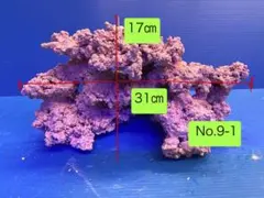人工ライブロック　お魚たちの隠れ家　No.9-1CO2無害化処理済のサムネイル