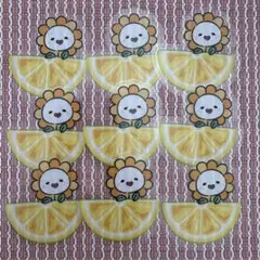 JOCHUM JO1 佐藤景瑚　フルーツ　ステッカー　シール　Bira　9枚