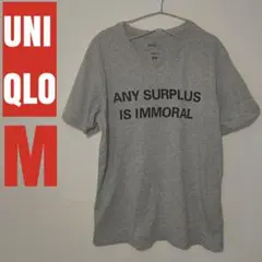 UNIQLO SPRZ NY (MoMAコラボ) gray M
