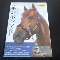 Darley Mサイズ　ダーレージャパン　レモンポップ 上着　未開封 2026年最新】ダーレー・ジャパンの人気アイテム - メルカリ