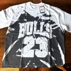 NIKE ナイキ ジョーダン tシャツ Lサイズ