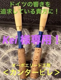 Item thumbnail for item c0380d5c-6b7e-4d22-8439-27be29927db1