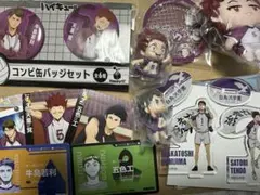 ハイキュー!! 白鳥沢セット