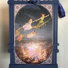 【匿名配送】東京ディズニーリゾート ピーターパン ランタン ポップコーンバケットのサムネイル