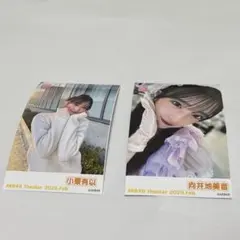 Item thumbnail for item 662bf7ea-2299-4f28-863a-edb9da33c40a