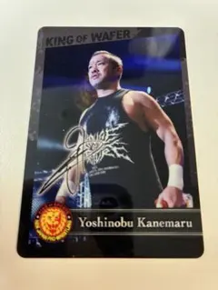 Item thumbnail for item 13ba789f-72b8-40de-b265-2941a6da15cb