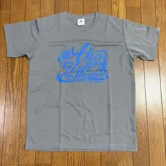 ウルトラマラソン 陸上競技