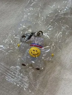 treasure TRUZ ROMY ロミジフン　 めじるしアクセサリー