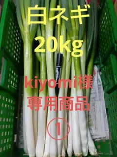 鳥取県産 白ネギ「春香葱」 10kg ナンパク多め 長ネギ - メルカリ