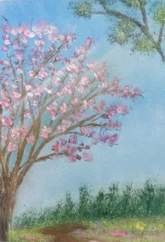 桜様 リクエスト 2点 まとめ商品