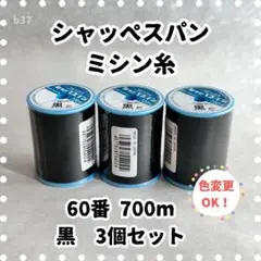 Item thumbnail for item a4a00bb2-1dbf-4b80-9a7a-93fb02dffd5e