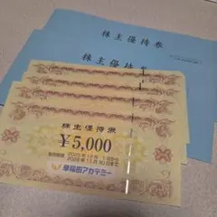 早稲田アカデミー 株主優待券 20000円分