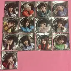 フルメンバーコンプ 9th Single BACKS LIVE 缶バッジ櫻坂46