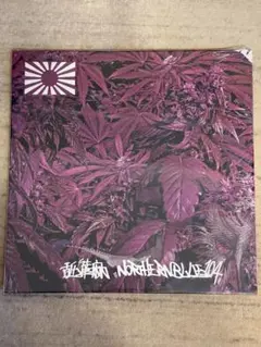 2026年最新】northernblueの人気アイテム - メルカリ