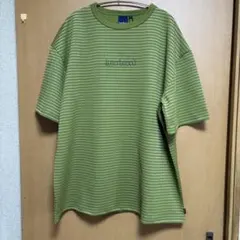 レディースXL Interbreed グリーンストライプ Tシャツ グリーン