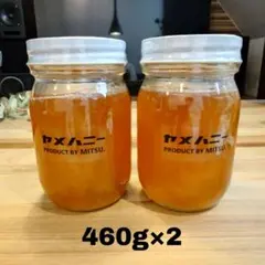 日本蜜蜂のはちみつ　純粋蜂蜜　百花蜜　ニホンミツバチ　国産　非加熱　無添加　天然