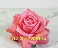 【カナカナさま専用】フラメンコ　フローレス　リピーター様割