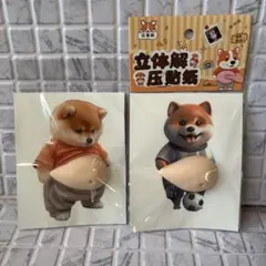 立体ぷにぷに 柴犬シール サッカー 柴犬 おなかぷにぷに スクイーズ加工 ②