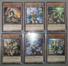 サイクロンの裂け目 日本語版 MTG foil ボーダーレス - メルカリ