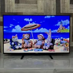 全国送料込❣️ジョワイユ湾曲画面48型液晶テレビWチューナー外付けHDD