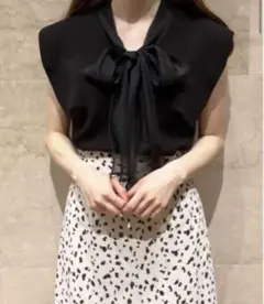 snidel スナイデル シアーボウタイニットプルオーバー ブラック フリー