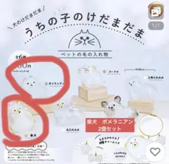 Item thumbnail for item 657d8f1d-eed6-427a-a2c6-18ca73014440