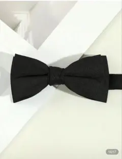ボウタイ　メンズ　結婚式用