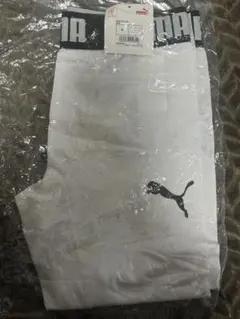 Item thumbnail for item 1808204a-4310-4951-8a88-996ead2e058a