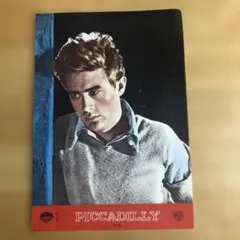 危険なささやき」アランドロン 映画パンフレット - メルカリ