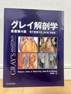 Item thumbnail for item 7ad6dfbb-c4b4-4244-b926-c44a930eede6