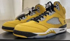 Nike Air Jordan 5 Retro Tokyo 23 (2025)