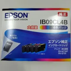 純正】EPSON IB09CL4B 4色パック 大容量 新品未開封 2個 - メルカリ