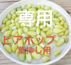 miki様 リクエスト 3点 まとめ商品