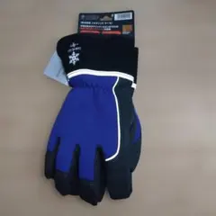 Item thumbnail for item 56f8c568-de08-4dd6-9b06-50045504933a