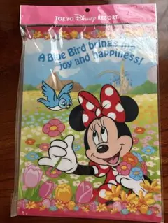 東京ディズニーリゾート ミニーマウス クリアファイル