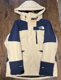 THE NORTH FACE ダウン海外モデル 新品