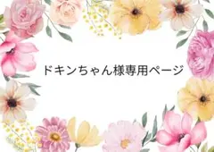 ドキンちゃん様専用ページ