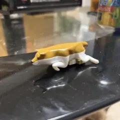 Item thumbnail for item f886bc35-a850-4750-aacb-eb61201b86df