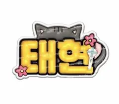 TXT テヒョン ぷっくりネームボード ネームボード トゥバ オーダー