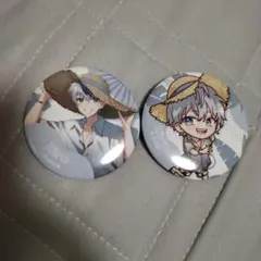 p*h様 カラフルピーチサマーランドヒロ君等身、ミニキャラ缶バッチ2個セット