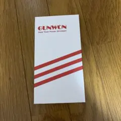 GUNWON iPhone 11 Pro用ケース