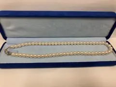 ケース付き】フランスの蚤の市で購入 ヴィンテージ・ネックレス - メルカリ