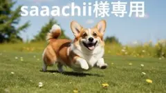 saaachii様専用