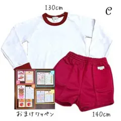 ᶜ【130-140 上下1セット】長袖 体操服セット SKY ACE