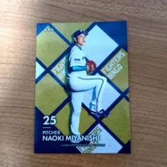 北海道日本ハムファイターズ 宮西尚生 ファイターズトレカ