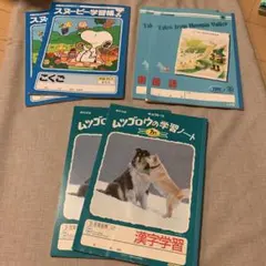 Item thumbnail for item 31dfdc64-cf26-48a2-b7f5-82af00af60f8