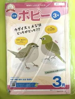 未使用　小学ポピー 3年 3月号