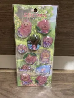 こびとづかん　カプセルシール　シャカシャカシール