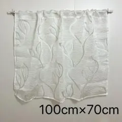 Item thumbnail for item 348eda15-9155-4a68-b38d-40c030a9557e