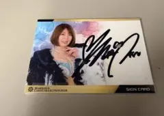 女子プロレス マリーゴールド 岩谷麻優 15周年カード 5種セット E